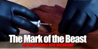 Scientists Now Say That Human Implantable RFID Microchips Are Unavoidable Scientists Now Say That Human Implantable RFID Microchips Are Unavoidable