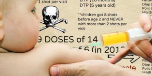 Overwhelming Evidence that Vaccines Are Causing Immune Overload in Children Overwhelming Evidence that Vaccines Are Causing Immune Overload in Children