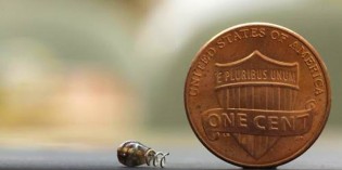 Engineers At Stanford Invent Wireless Power Transfer For Human Implantable RFID Chip Engineers At Stanford Invent Wireless Power Transfer For Human Implantable RFID Chip