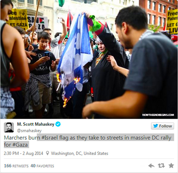 anti-israel-protests-burning-flag-washington-dc-august-2-2014-04