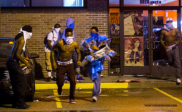 ferguson-protesters-looting-tourism-stealing-smashing-windows-no-peace-justice-mayhem.jpg