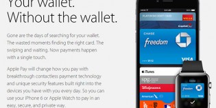 Apple Pay Puts RFID Microchip On The Back Of Your Hand For Cashless Payments Apple Pay Puts RFID Microchip On The Back Of Your Hand For Cashless Payments