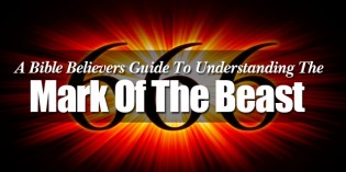 The Bible Believers Guide To Understanding The Mark Of The Beast The Bible Believers Guide To Understanding The Mark Of The Beast