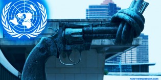 United Nations Arms Trade Treaty To Go Into Effect On December 24th United Nations Arms Trade Treaty To Go Into Effect On December 24th