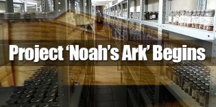 Russia Begins Project ‘Noah’s Ark’ DNA Database Of All Living Things Russia Begins Project ‘Noah’s Ark’ DNA Database Of All Living Things