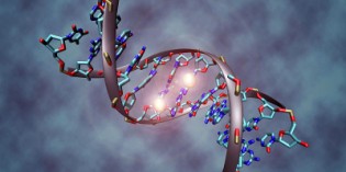 New Chip To Be Embedded In Mobile Phones Found To DESTROY Human DNA New Chip To Be Embedded In Mobile Phones Found To DESTROY Human DNA
