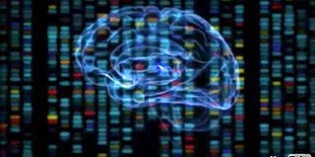 IBM Predicts Mind-Reading Machines In 5 Years IBM Predicts Mind-Reading Machines In 5 Years