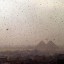 as-passover-2013-approaches-egypt-hit-by-plague-of-locusts