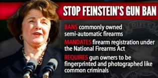 Democrats To Make Major Push To Take Away Most Guns Democrats To Make Major Push To Take Away Most Guns
