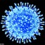 Deadly: The new strain of bird flu could wipe out millions of people at a time