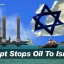 "This is a dangerous precedent that overshadows the peace agreements and the peaceful atmosphere between Israel and Egypt," he said in a statement. Israel and Egypt signed a peace treaty in 1979, but relations have never been warm.