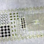 This image courtesy of J. Rogers, University of Illinois shows an epidermal electronic system created by an international team of engineers and scientists. A hair-thin electronic patch that adheres to the skin like a temporary tattoo could transform medical sensing, computer gaming and even spy operations, according to a US study published Thursday.