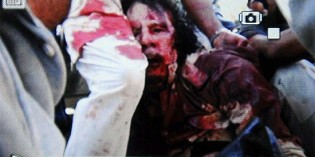 ‘Tough Guy’ Gaddafi Shot While Cowering In Hole ‘Tough Guy’ Gaddafi Shot While Cowering In Hole