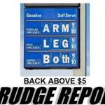 gas-prices-back-up-over-5-dollars-gallon-february-2013