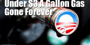 Obama Administration Sets News Gas Price Record, But In A Bad Way Obama Administration Sets News Gas Price Record, But In A Bad Way