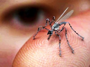 "Recent sightings have raised question over whether the government has secret miniature spy drones" - Veritas Photo credit:  Veritas/Facebook