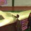 iran-exhibits-captured-US-drone