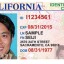 mexican-ID-now-equal-with-CA-ID