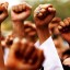 Morsi is instituting a reign of terror to consolidate his power,” Geller said.
