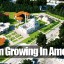 muslims-building-100-million-dollar-mosque-in-lanham-maryland-usa-islam-means-submission-obama