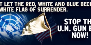 Within HOURS Of Winning Re-election Obama Approves UN Gun Ban Talks Within HOURS Of Winning Re-election Obama Approves UN Gun Ban Talks