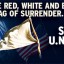 obama-and-the-un-gun-ban-treaty