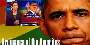 Obama to Use Foreign Aid to Force Gay Rights Overseas as Official US Policy Obama to Use Foreign Aid to Force Gay Rights Overseas as Official US Policy