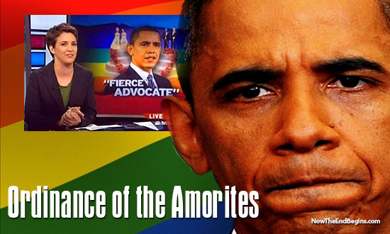 obama-gay-rights-ordinance-of-the-amorites