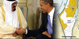 Shock! Saudis Demanded That Obama Support Mubarak Shock! Saudis Demanded That Obama Support Mubarak