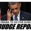 obama-to-ban-guns-take-away-second-2nd-amendment-rights