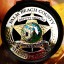 palm-beach-county-sheriff-ric-bradshaw-1-million-dollars-for-civilian-spy-program