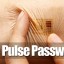 pulse-password-mark-of-the-beast-bionym-singularity-end-times-now-the-end-begins