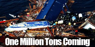 Millions Of Tons Of Radioactive Waste From Fukushima Meltdown Now Arriving On American Shores Millions Of Tons Of Radioactive Waste From Fukushima Meltdown Now Arriving On American Shores