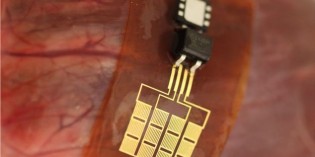 Scientists Create Human-Powered Battery For RFID Implantable Chips Scientists Create Human-Powered Battery For RFID Implantable Chips