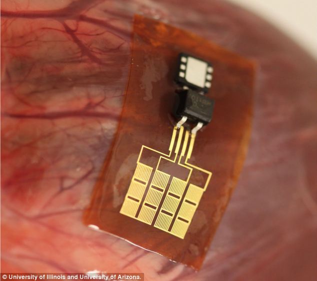 scientists-develop-worlds-first-implantable-battery-that-is-charged-by-the-human-body-mark-of-the-beast