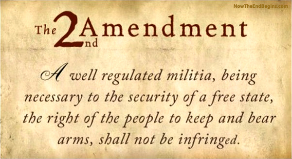 [Image: second-amendment-gun-control-obama-new-w...er-ban.jpg]