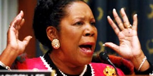 Democratic Congresswoman Calls For Obama To Implement Martial Law To End Shutdown Democratic Congresswoman Calls For Obama To Implement Martial Law To End Shutdown
