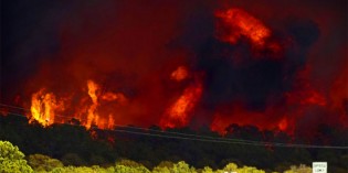 Texas Is Burning! Thousands Evacuated as Wildfire Destroys More Than 1,000 Homes Texas Is Burning! Thousands Evacuated as Wildfire Destroys More Than 1,000 Homes