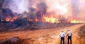 Judgment? Bizarre, Extreme Weather Pounds South and Midwest States Judgment? Bizarre, Extreme Weather Pounds South and Midwest States