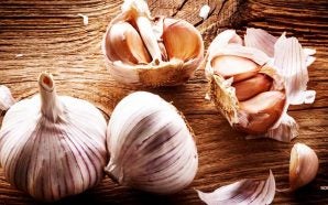 garlic-will-prevent-mosquito-bites-zika-virus-health-benefits