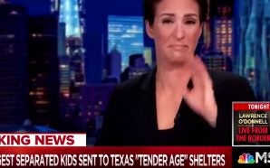 rachel-maddow-cried-crocodile-tears-tender-age-illegal-immigrant-shelters-donald-trump