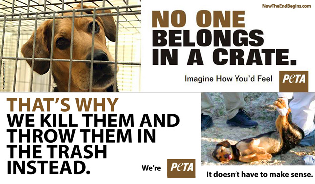 peta-kills-animals-slaughters-kittens-dogs