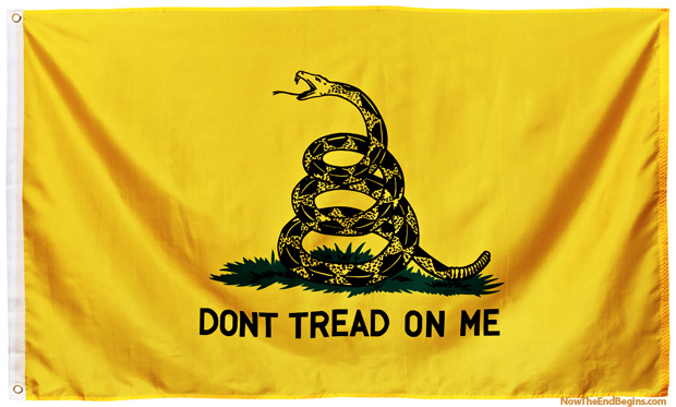 dont-tread-on-me-flag-american-revolution-1775-christopher-gadsden-king-george