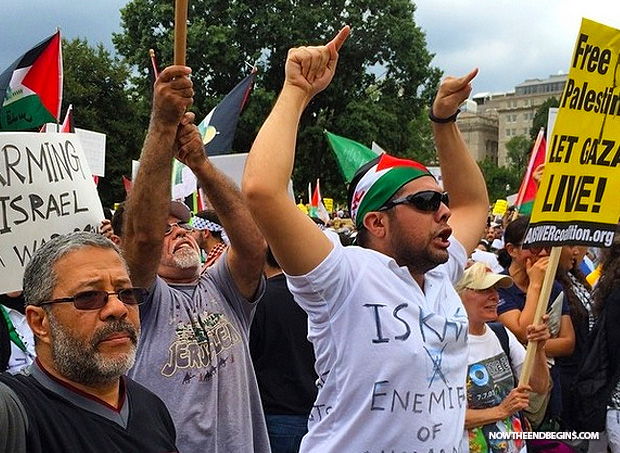 anti-israel-protests-washington-dc-august-2-2014-02