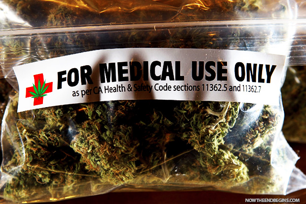 terrible-truth-about-legal-pot-cannabis-420-medical-marijuana