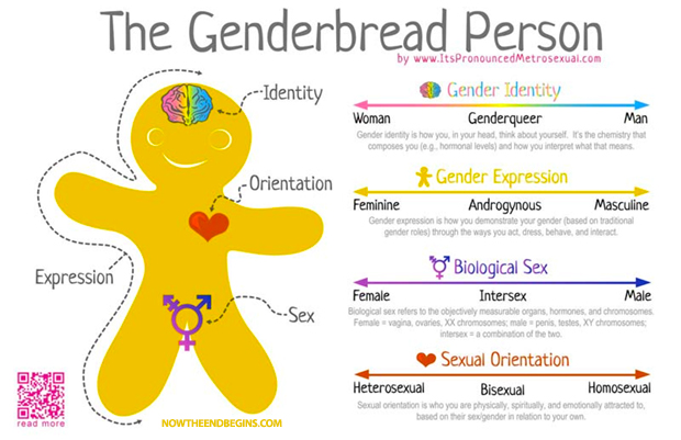 genderbread-person-lgbt-mafia-movement-queering-sexual-gender-confusion