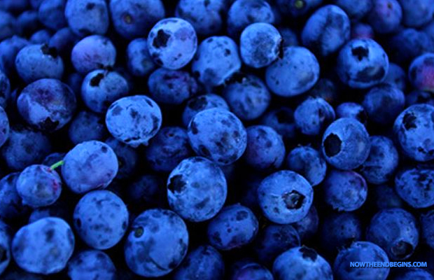 blueberries-antioxidants-heart-health-cancer-fighter-improved-eyesight-anti-aging-super-food