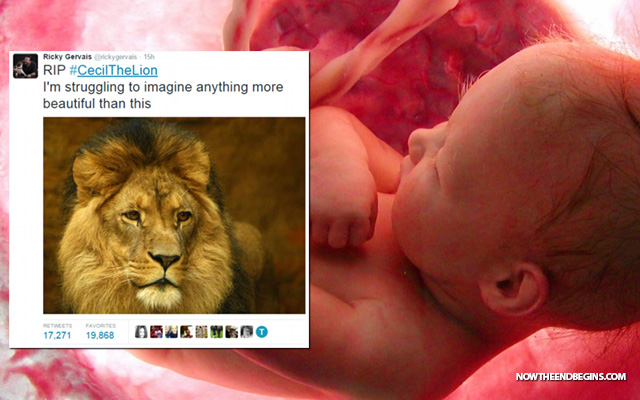 liberals-outraged-at-death-cecil-lion-say-nothing-about-abortion-planned-parenthood-sells-baby-parts