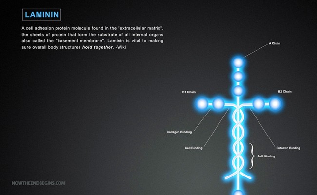 louie-giglio-laminin-nteb-now-end-begins-bible-science