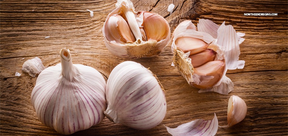 aged-garlic-extract-proven-to-prevent-reverse-heart-disease-kyolic-nteb